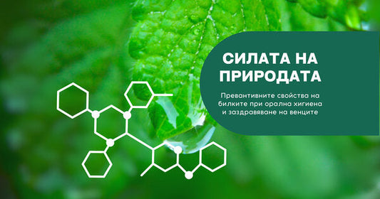 The Power of Nature: The Preventive Properties of Herbs in Oral Hygiene and Gum Healing