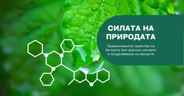 Cилата на природата: Превантивните свойства на билките при орална хигиена и заздравяване на венците